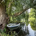 Am Parksee *